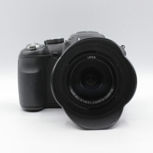 PANASONIC LUMIX FZ200 (208)