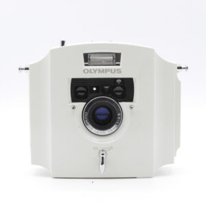 OLYMPUS ECRU (027)
